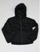 THE NORTH FACE (AQRG) ALTIMONT boys jacket (6/xs)